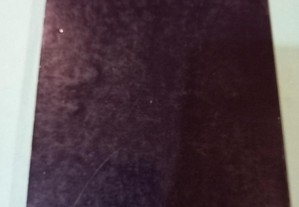 imagem_6