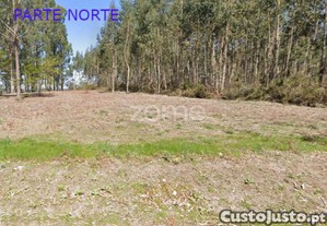 Terreno Em Santa Luzia, Monte Córdova