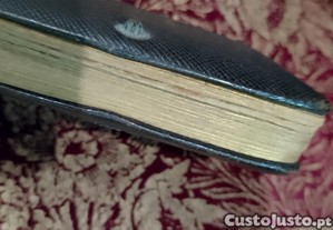 imagem_7