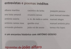imagem_9