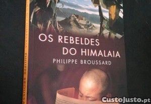 imagem_1