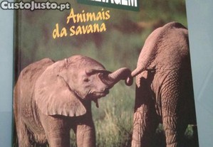 imagem_1