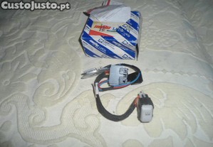 imagem_7