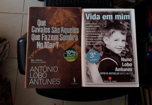 Obras de António e Nuno Lobo Antunes