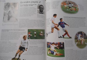 imagem_8