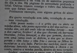 imagem_8