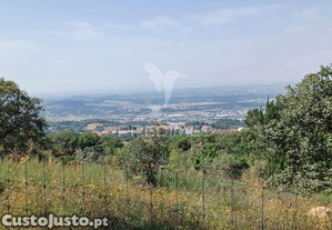 Terreno rústico 4,983 ha - portalegre