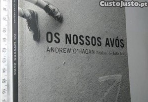 imagem_1