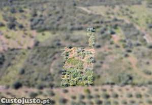 Terreno Rústico Com 2.820 M² Na Zona Da Franqueira