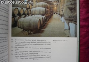 imagem_8