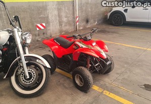 imagem_3