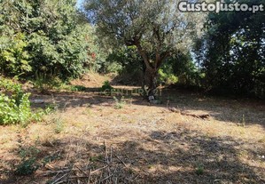 Terreno para construção de moradia em Geria, às portas da cidade de Coimbra