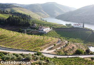 Terreno com vista para o rio Douro