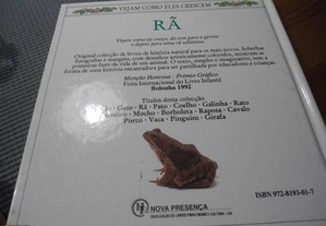 imagem_5