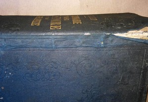 imagem_3