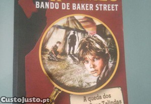 imagem_1