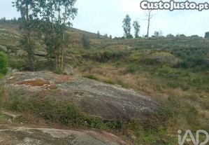 imagem_9