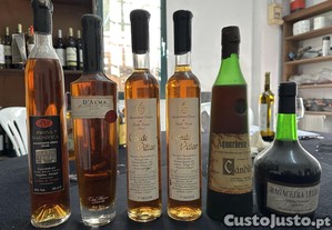 Lote Premium de 6 Aguardentes Portuguesas  Vintage / Coleção