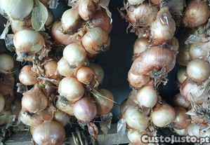 Cebola branca nacional