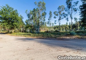 Terreno Rústico Com 7.900 M2 Em Monte Córdova -...