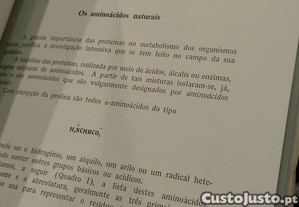 imagem_7