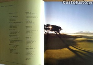 imagem_2
