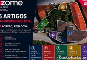 imagem_1