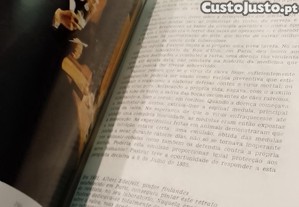 imagem_10