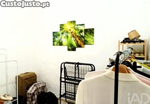 imagem_8