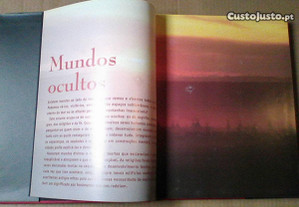imagem_5