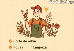 imagem_1