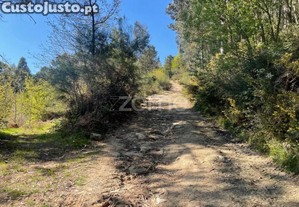 Terreno Rustico Com 4500 M2 - Outeirinho - Cerva
