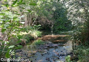 Casa de Campo em Pedrgo Grande de 50,00 m