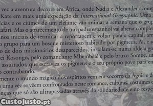 imagem_4