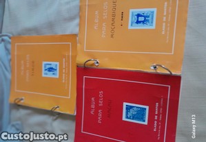 imagem_3
