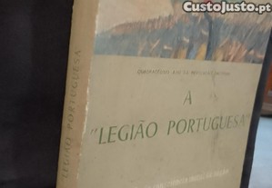 imagem_2