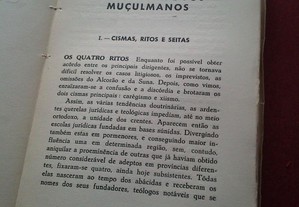 imagem_11