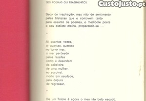 imagem_8