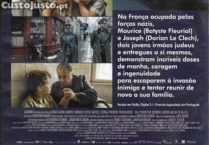 imagem_2