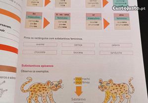imagem_3