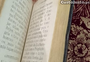 imagem_3