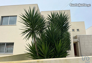 Casa T4 em Braga de 224,00 m²