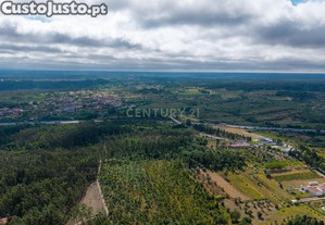 Lote de Terreno na Silvã   Mealhada