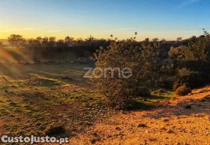 Terreno Rústico - Tunes, Silves | 1.480 M²