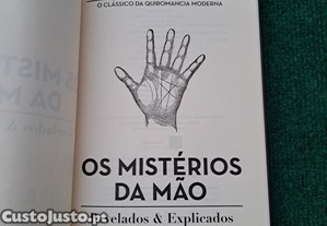imagem_4