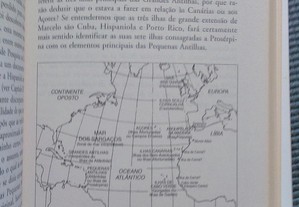 imagem_8