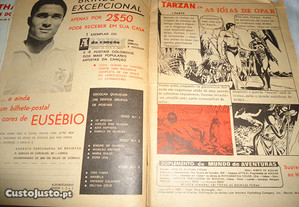 imagem_4