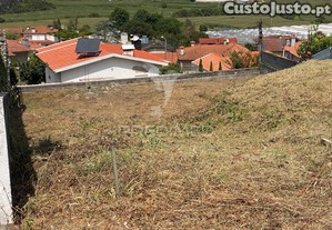 imagem_8