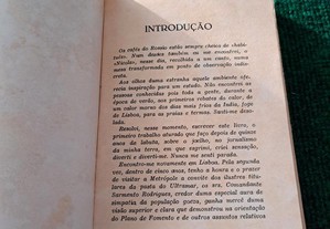 imagem_8