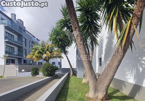 Apartamento t1 no funchal